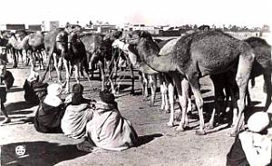 Images d'Algerie 135